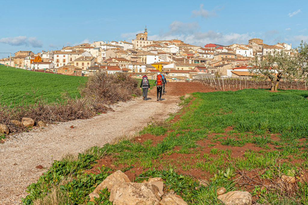 Report from the Camino - an overview